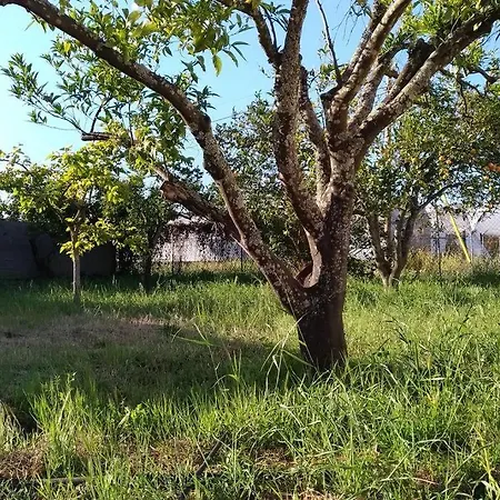 Apartman Casa D'avo Altura